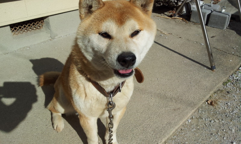 f:id:nanaseg:20130101124119j:image f:id:nanaseg:20130101124119j:image