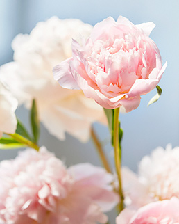f:id:nanashappylife:20200926112502p:plain f:id:nanashappylife:20200926112502p:plain