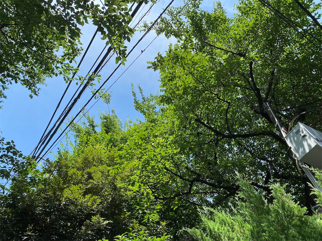 f:id:nanashi729:20220815194651j:image f:id:nanashi729:20220815194651j:image