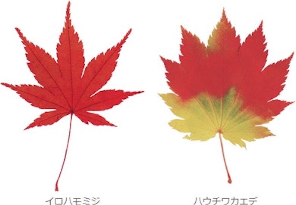 f:id:nanashi_CH:20221010212356j:image