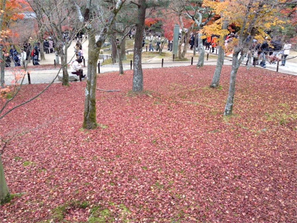 f:id:nanashi_CH:20221010212601j:image
