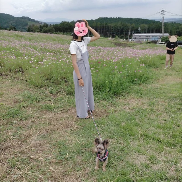 f:id:nanasuker:20210906111232j:image f:id:nanasuker:20210906111232j:image