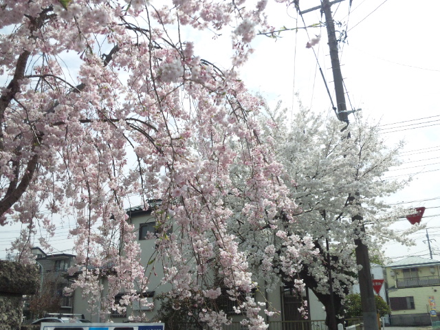 f:id:nanasystem:20130421182439j:image:w320