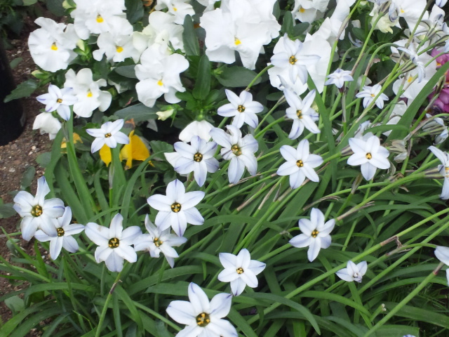 f:id:nanasystem:20130421182637j:image:w320