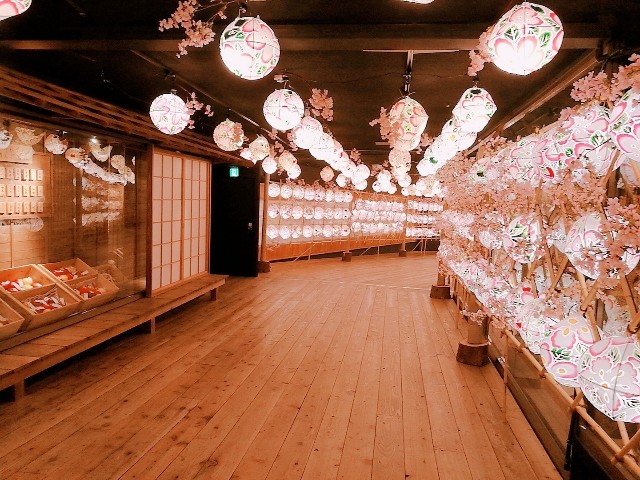f:id:nanatoto:20190630182917j:image