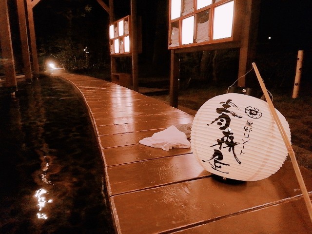 f:id:nanatoto:20190630183413j:image