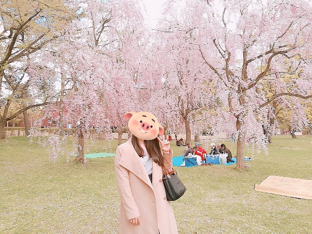 f:id:nanatoto:20190727102719j:image