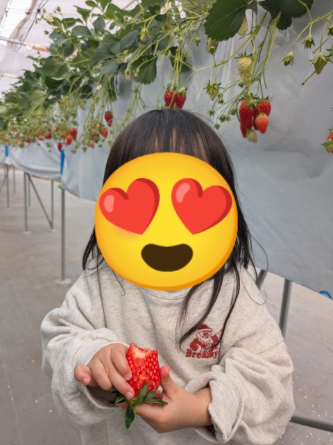f:id:nanatoto:20250301232209j:image