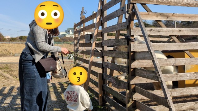 f:id:nanatoto:20250301232253j:image