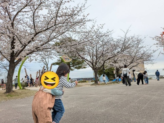 f:id:nanatoto:20250405222705j:image