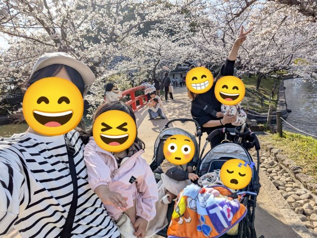 f:id:nanatoto:20250405222747j:image