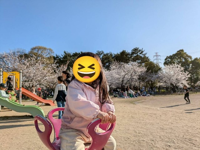 f:id:nanatoto:20250405222759j:image