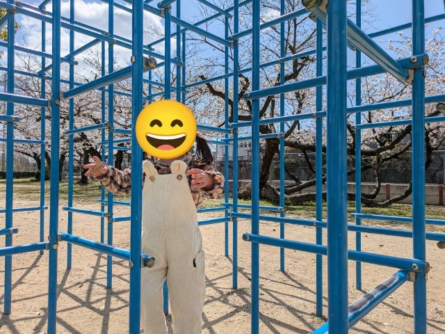 f:id:nanatoto:20250405222849j:image