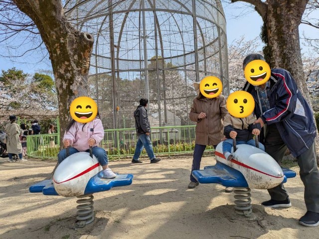 f:id:nanatoto:20250405222946j:image