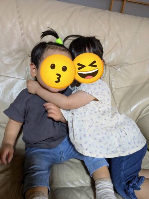 f:id:nanatoto:20250528221331j:image