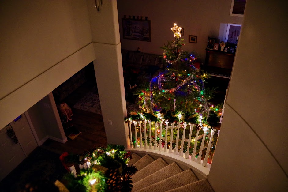 クリスマスツリー　カナダ Amazon.co.jp: AuldHome Design ミニクリスマスツリー(3点パック