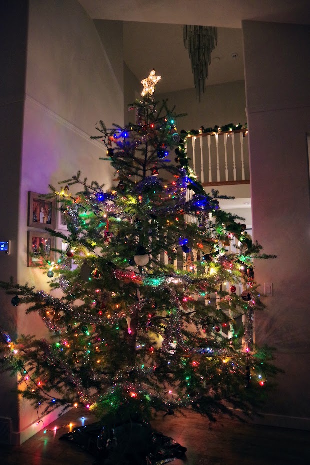 カナダでクリスマス🎄ツリーの準備とお菓子の家づくり