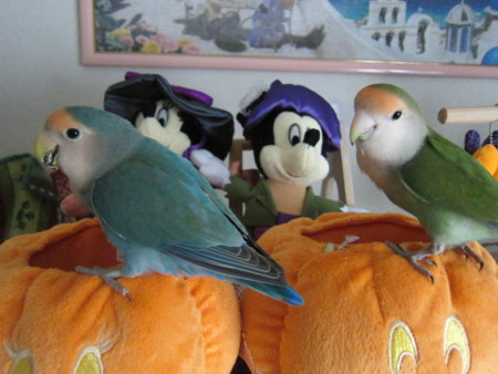 f:id:nanatyuti:20111009155528j:image