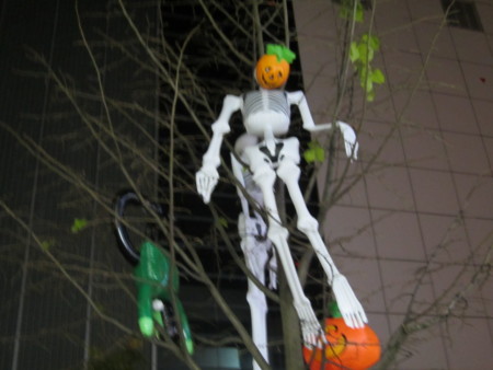 f:id:nanatyuti:20111009155545j:image