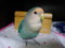 20150331204505