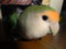 20150331204512
