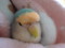 20150401204742