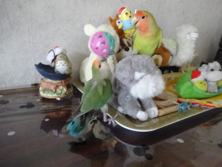 f:id:nanatyuti:20150411215637j:image