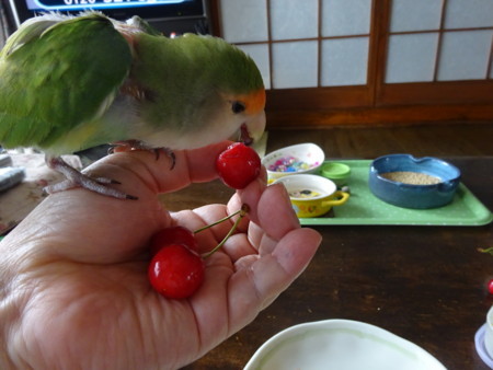 f:id:nanatyuti:20170626202402j:image