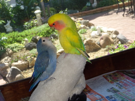f:id:nanatyuti:20170804185021j:image f:id:nanatyuti:20170804185021j:image