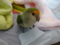 20170829175151