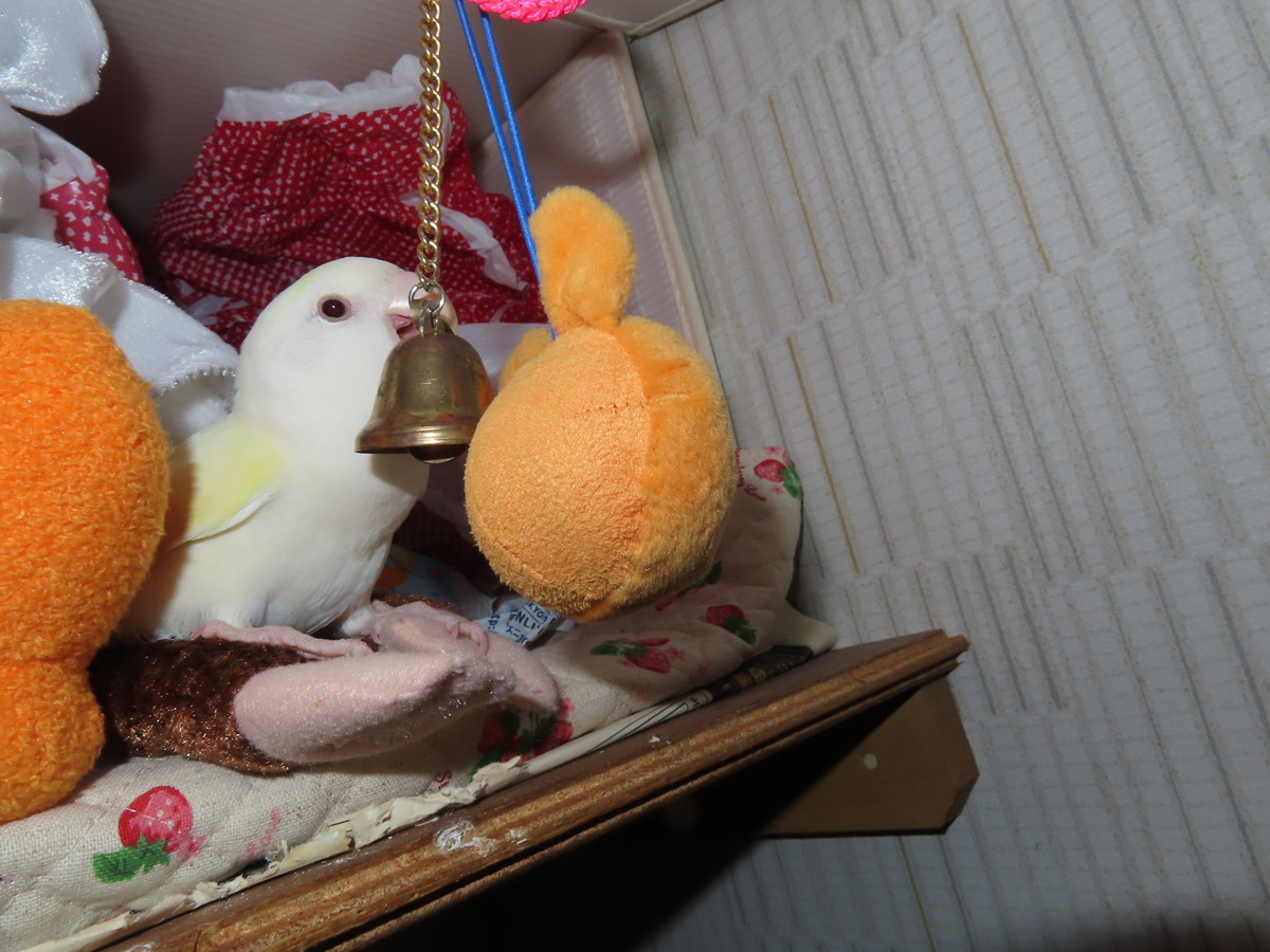 f:id:nanatyuti:20191020195231j:plain f:id:nanatyuti:20191020195231j:plain