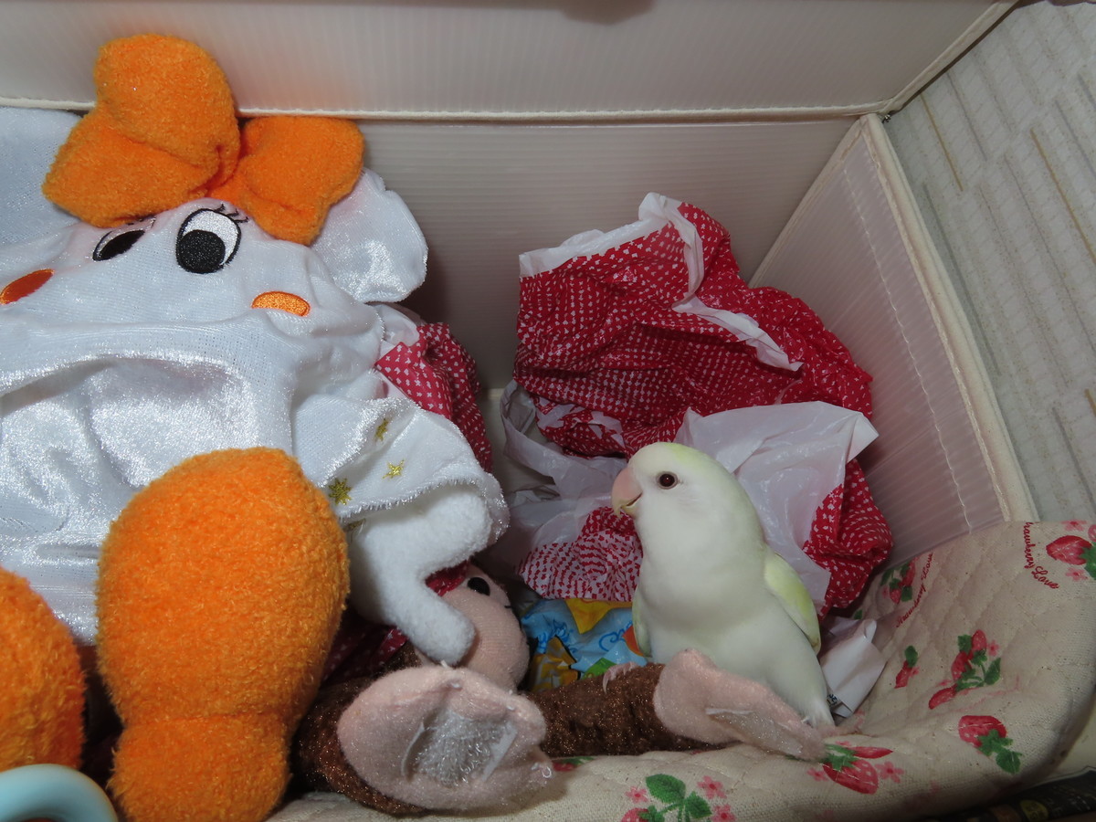 f:id:nanatyuti:20191020195419j:plain f:id:nanatyuti:20191020195419j:plain