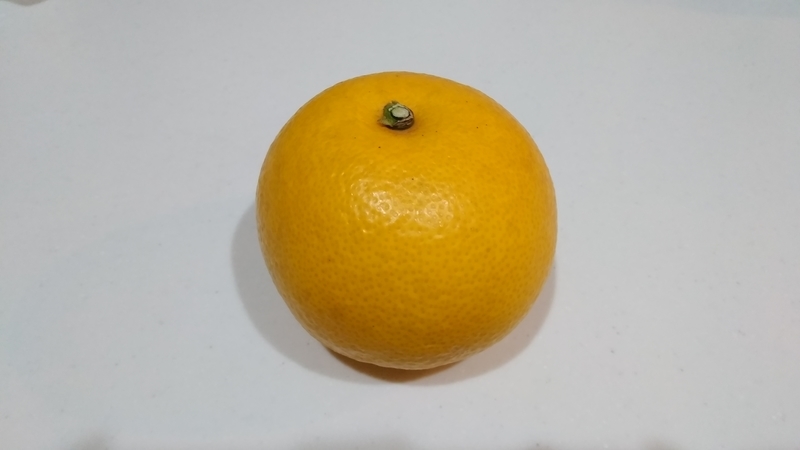 f:id:nanawarigobu:20200112062554j:plain