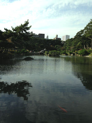 f:id:nanayana:20161030141057j:plain f:id:nanayana:20161030141057j:plain