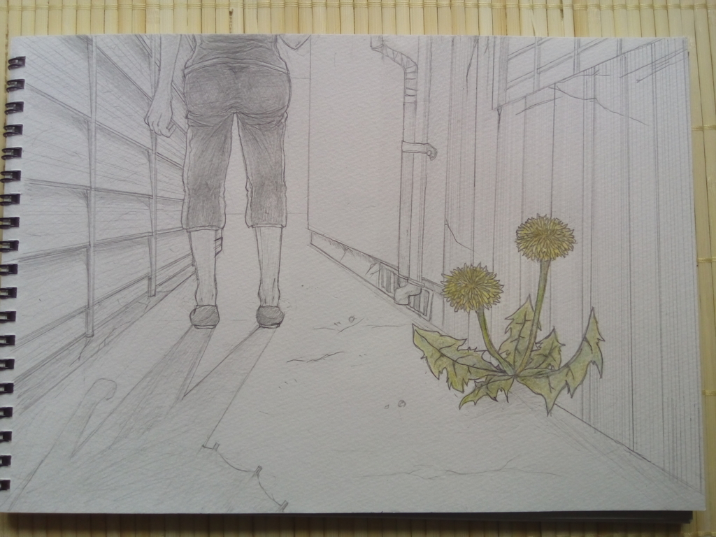 f:id:nanazo7:20170721141612j:plain