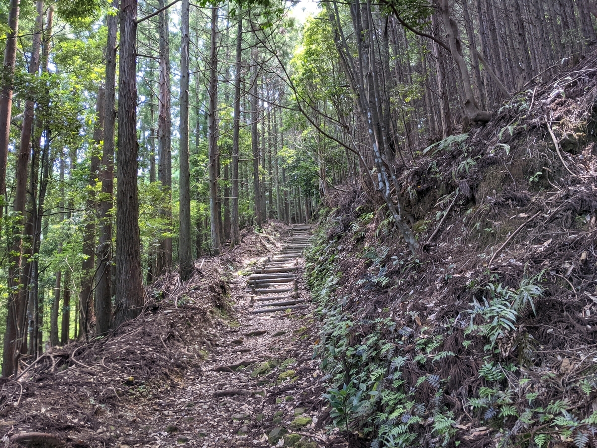 f:id:nanbo-takayama:20211002155411j:plain