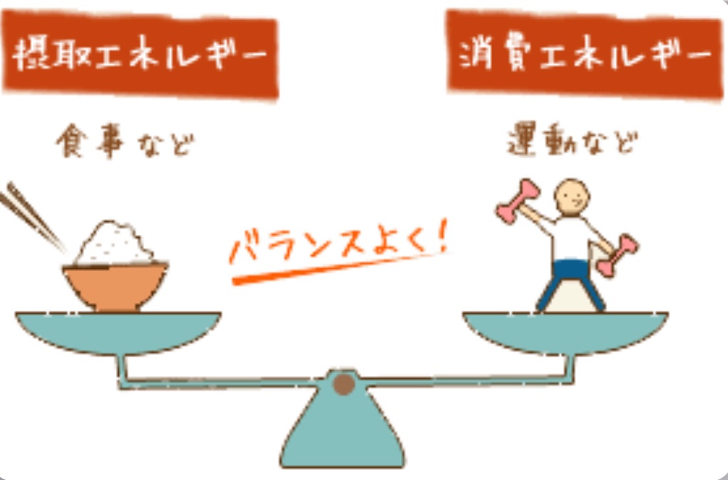 f:id:nancha_39:20230330232908j:image