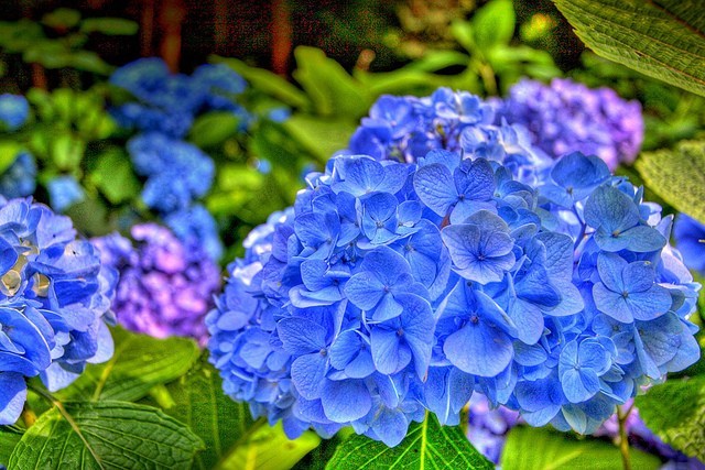 f:id:nande450:20190618182625j:plain