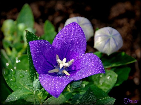 f:id:nande450:20190618182739j:plain