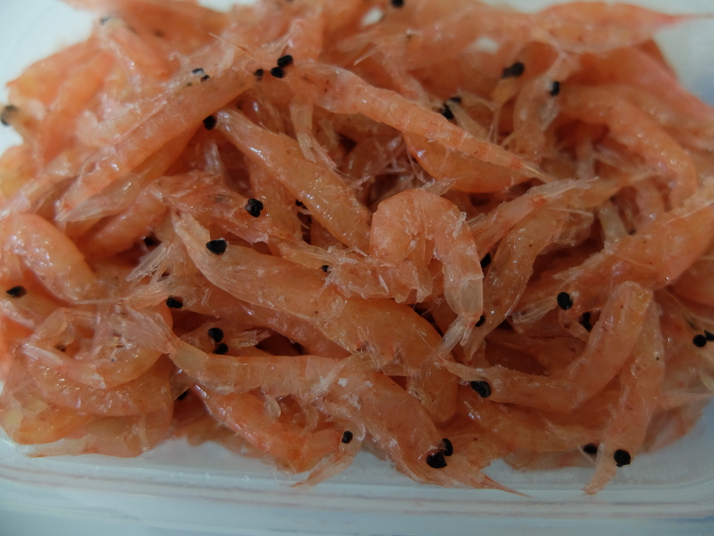 釣り餌費節約オキアミ加工 なんでんかんでんすいとぉ