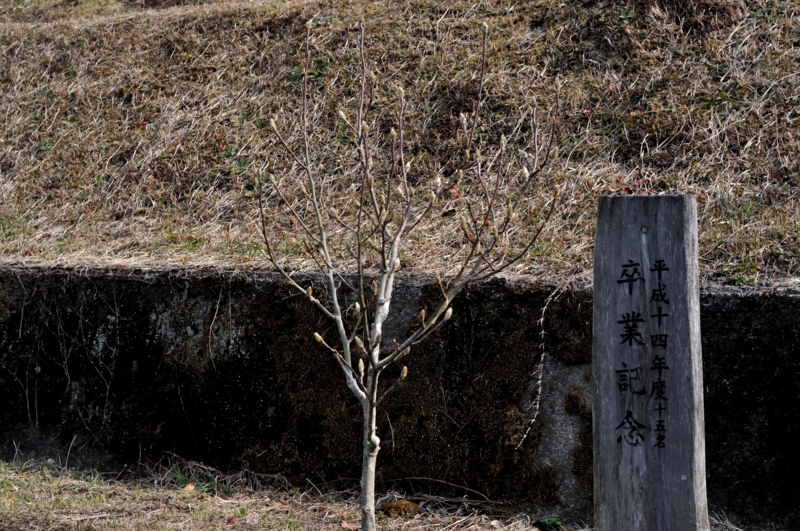 f:id:nandeyanen36:20140113213110j:plain
