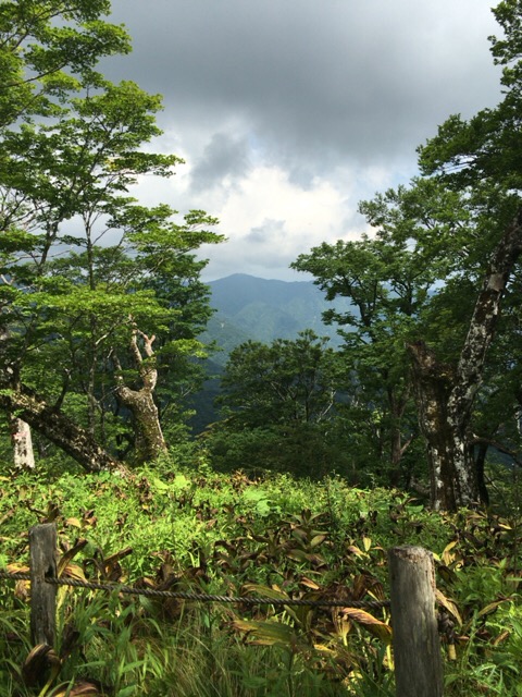 f:id:nandri:20160627105351j:plain