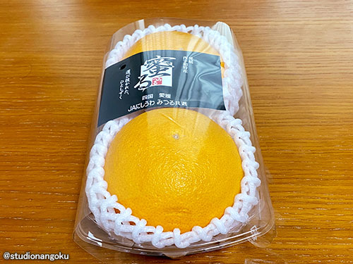 f:id:nangokusan:20210317222208j:plain