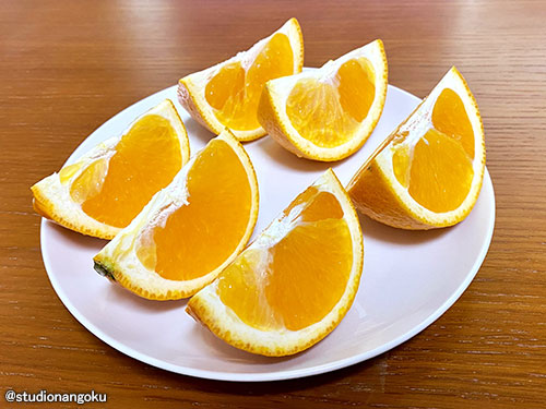 f:id:nangokusan:20210317222213j:plain
