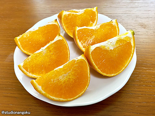 f:id:nangokusan:20210317222230j:plain