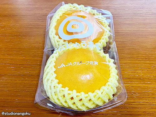 f:id:nangokusan:20210317222242j:plain