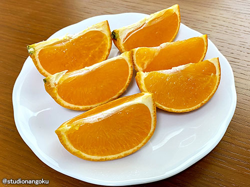 f:id:nangokusan:20210317222305j:plain