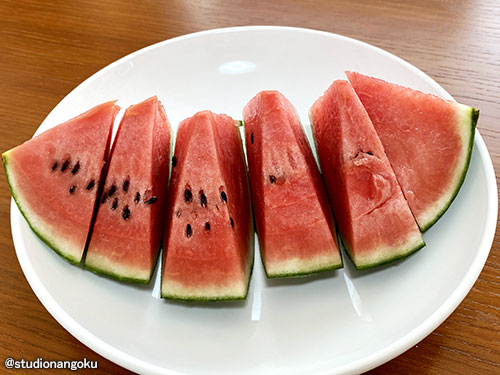f:id:nangokusan:20210801175734j:plain