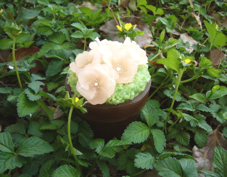 f:id:nanhime:20090411185806j:image:w330