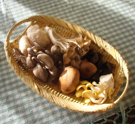 f:id:nanhime:20091206173920j:image:w350 f:id:nanhime:20091206173920j:image:w350